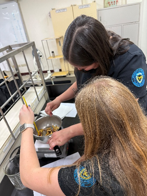 這是一張圖片 這是一張圖片