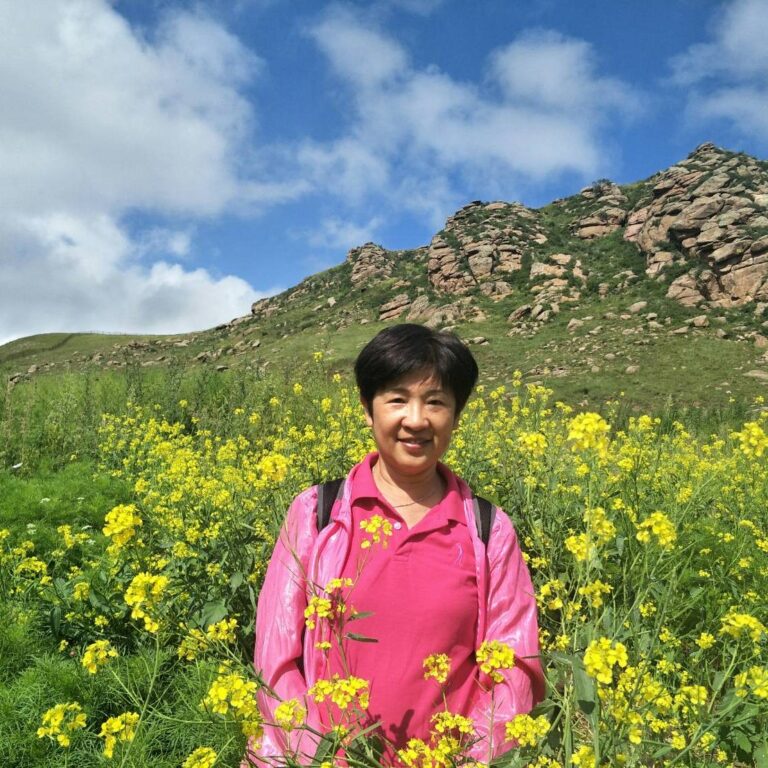 Professor, Pao-Chu Wu 